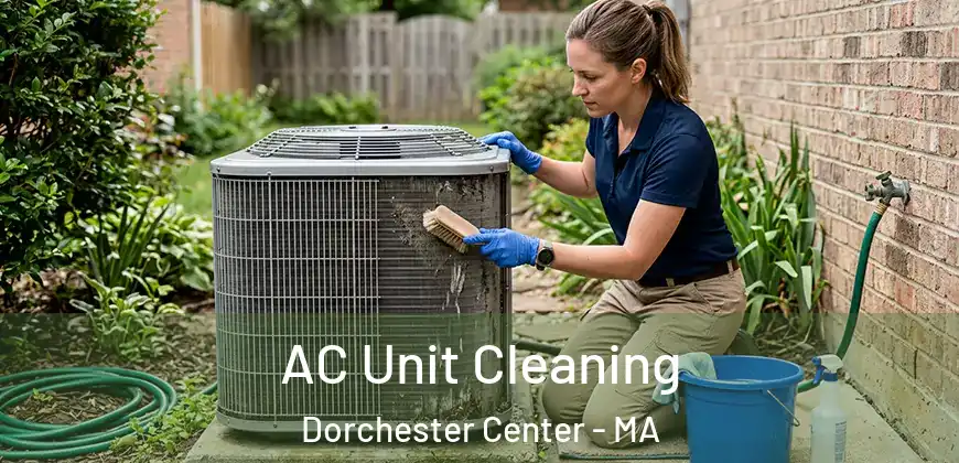  AC Unit Cleaning Dorchester Center - MA